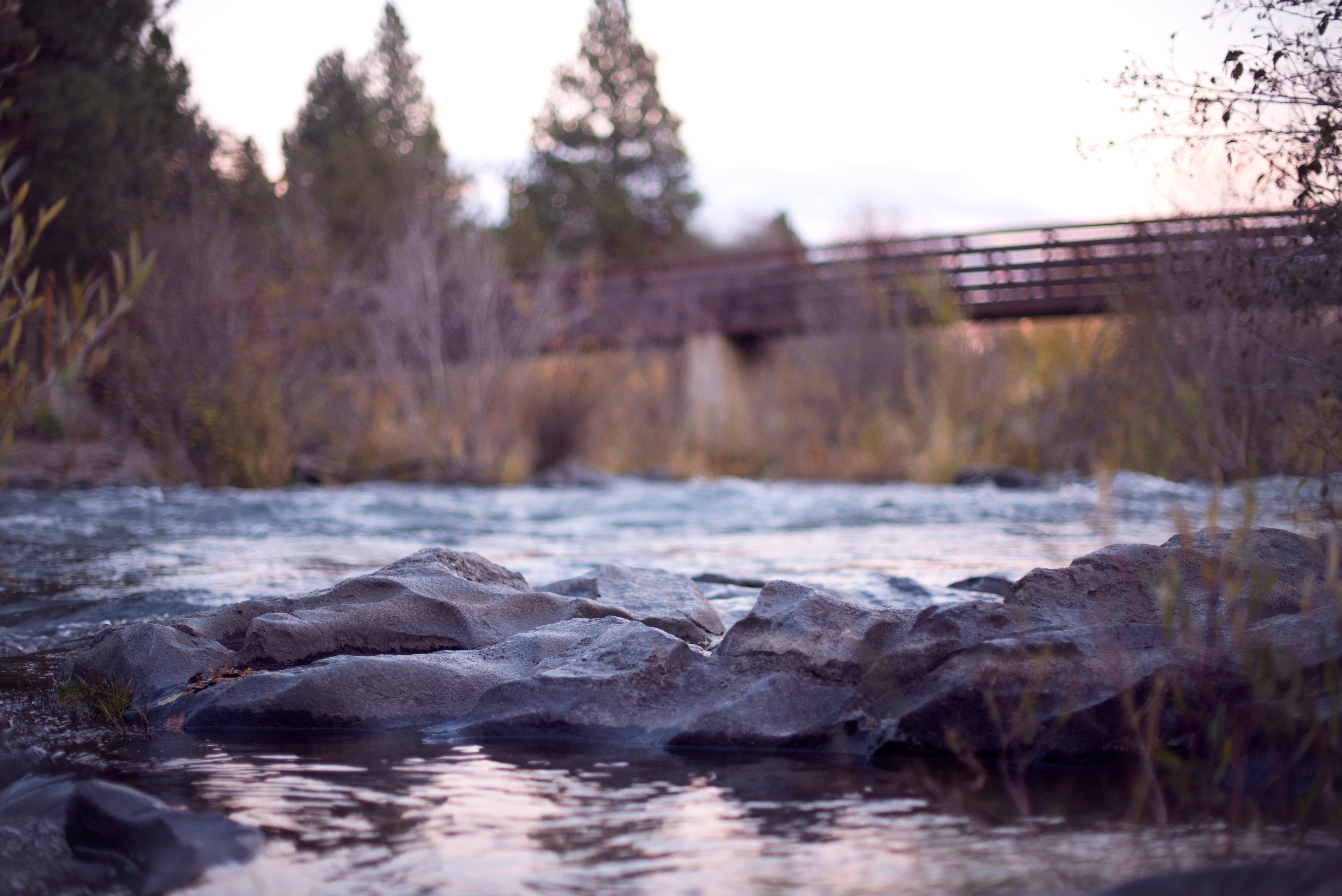 Free photo The river under the bridge