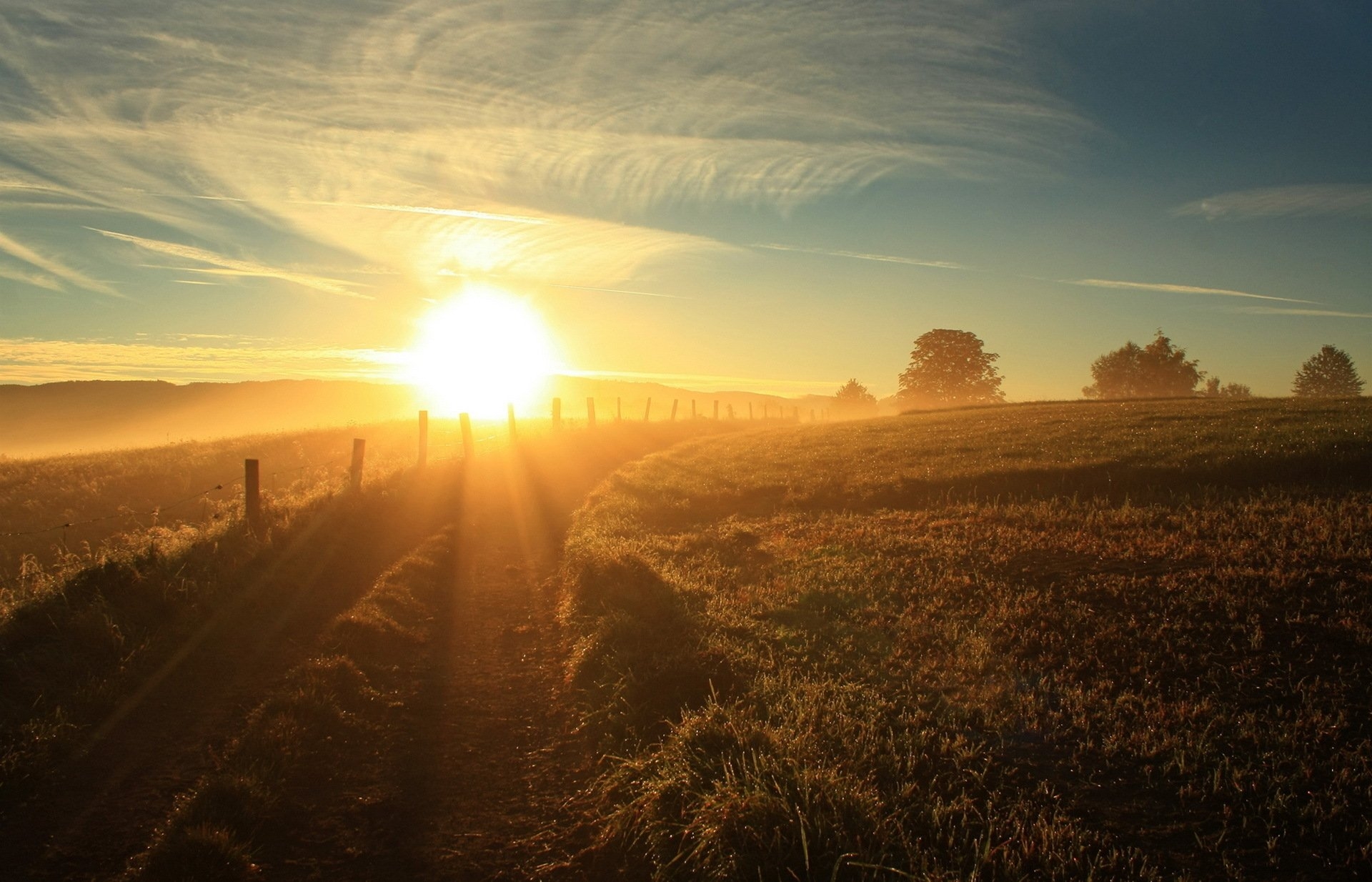 Free photo A bright sunrise in the pasture