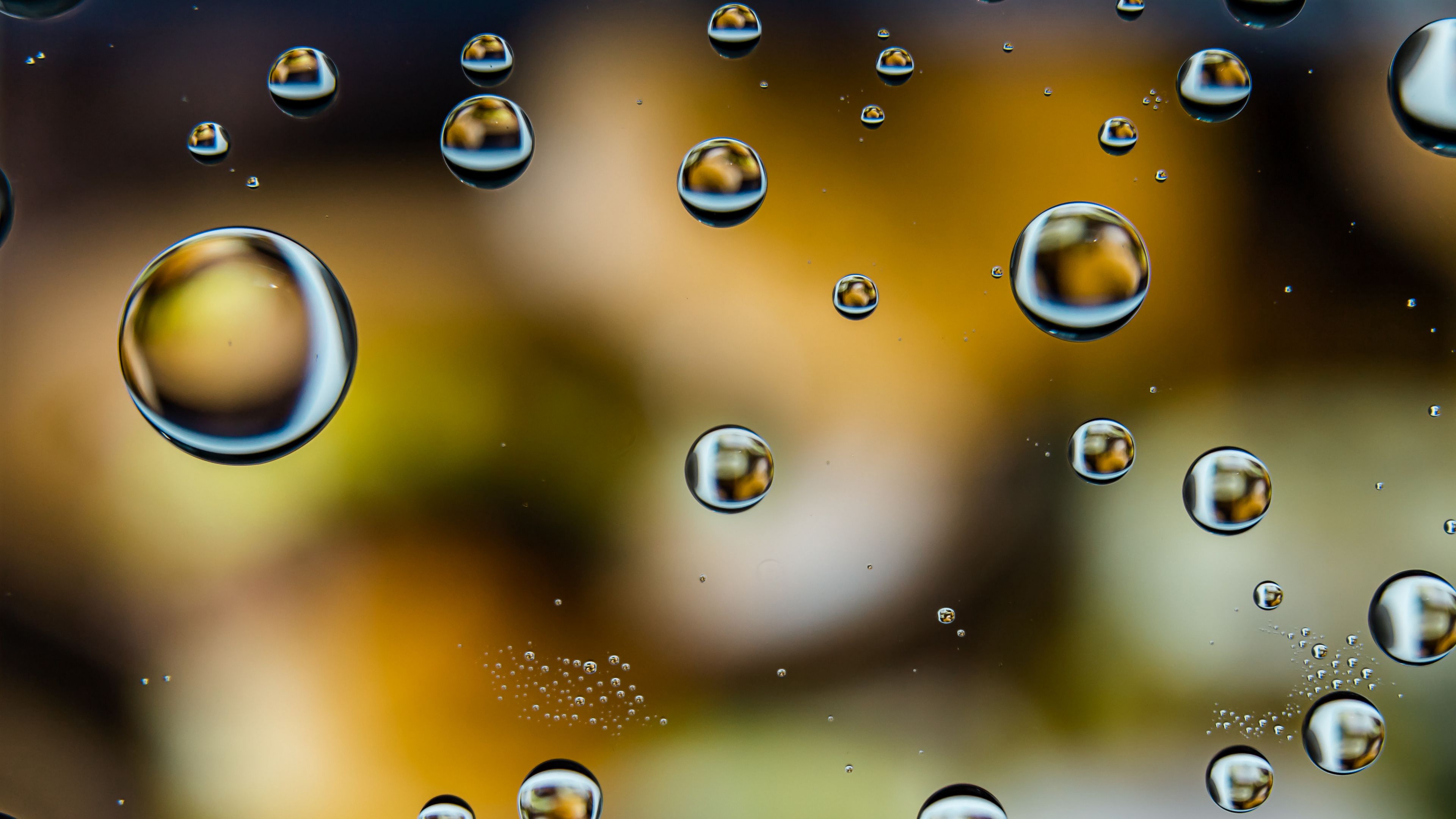 Wallpapers wallpaper water drops fall macro on the desktop