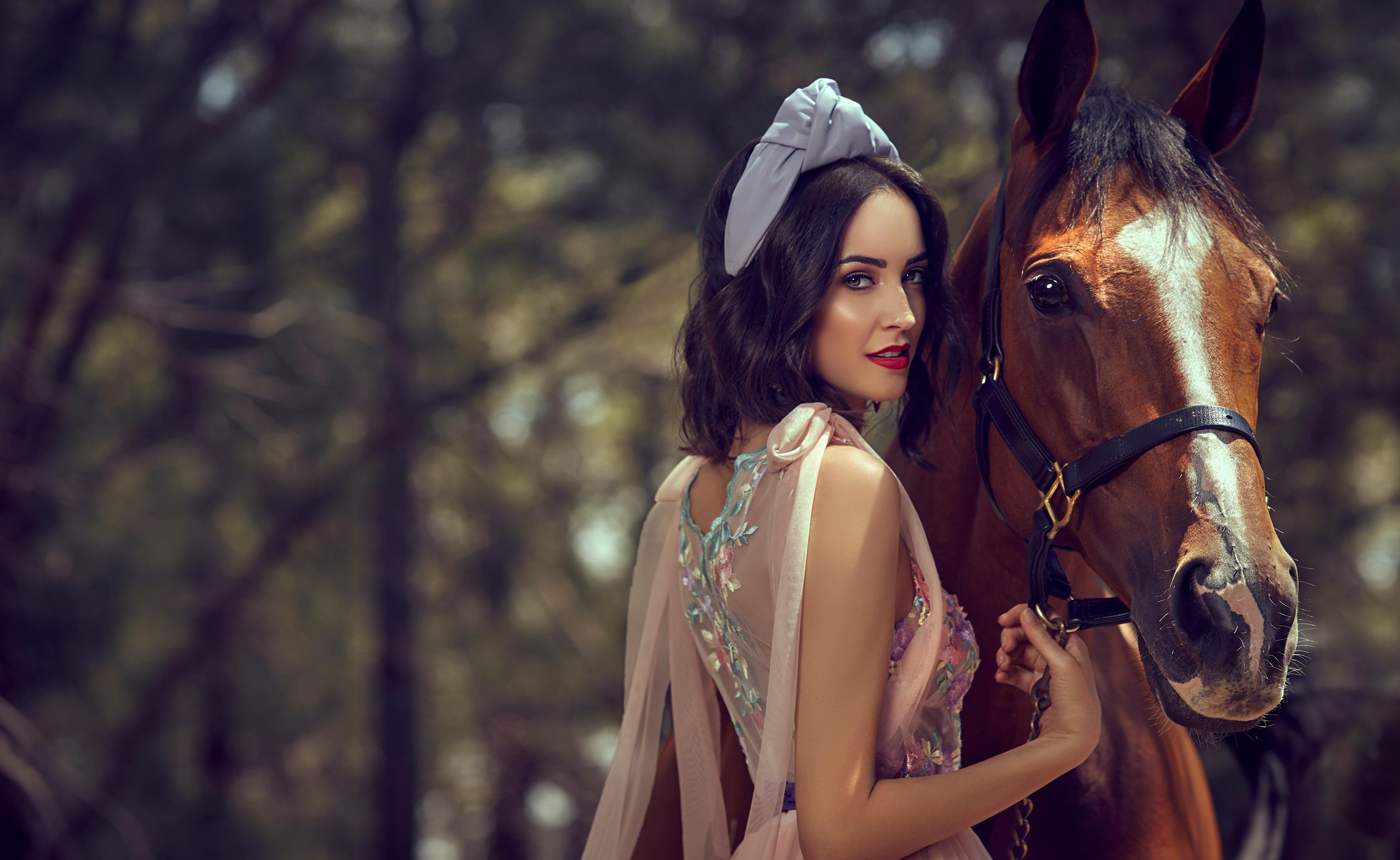 一个女孩和一匹马