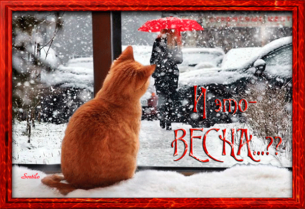 Открытка на тему окно рыжий кот снег скачать бесплатно