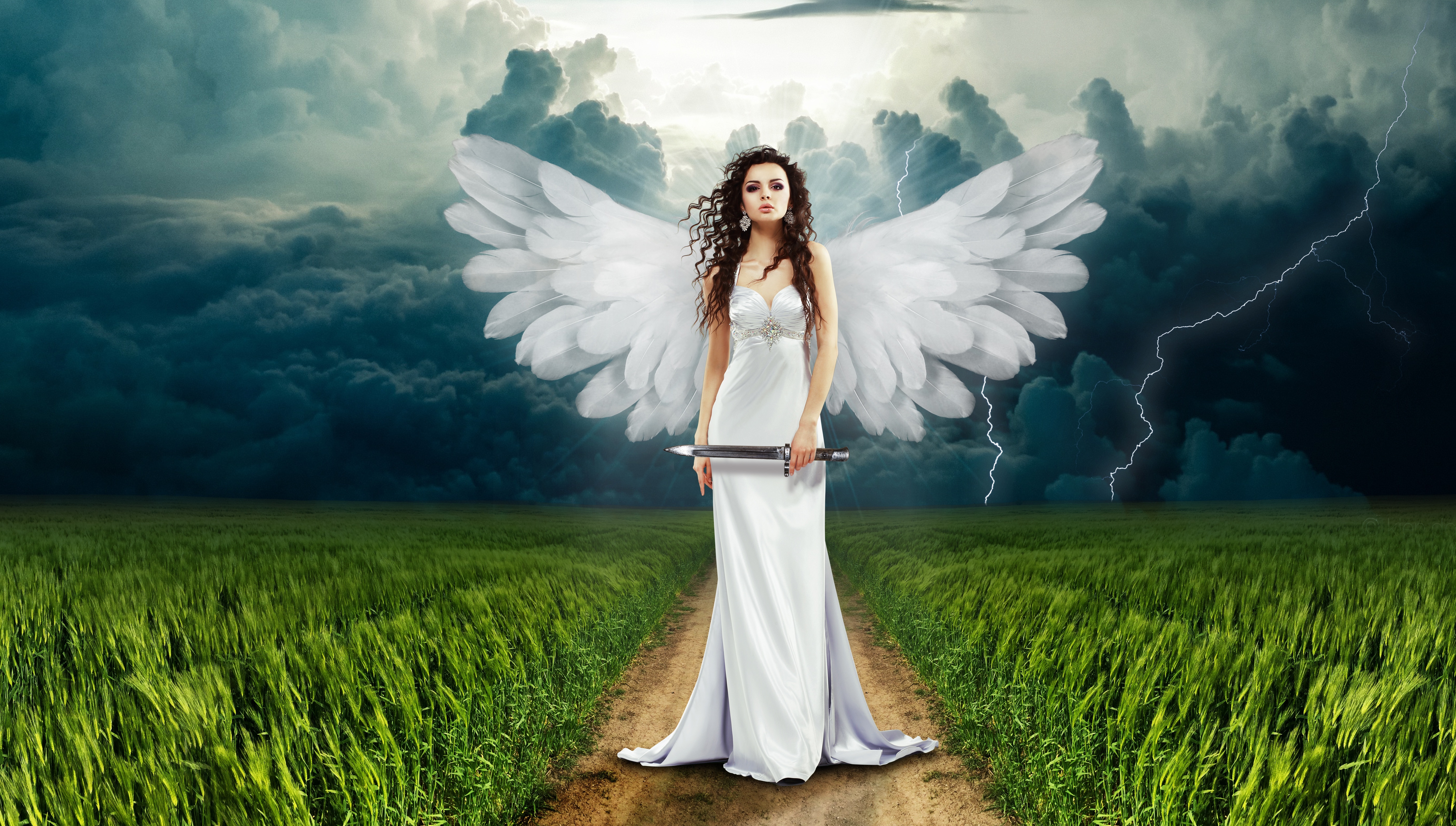 Wallpapers angel girl field on the desktop