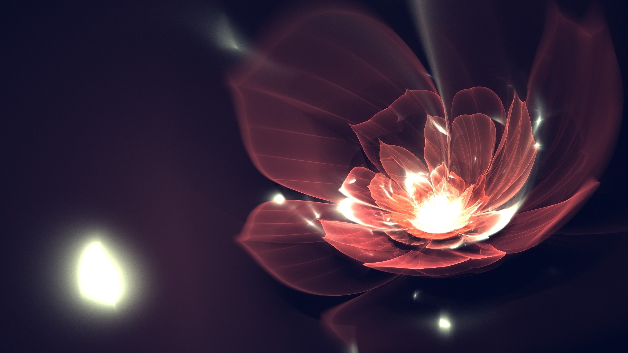 A flower resembling a lotus, in dark tones with bright accents.