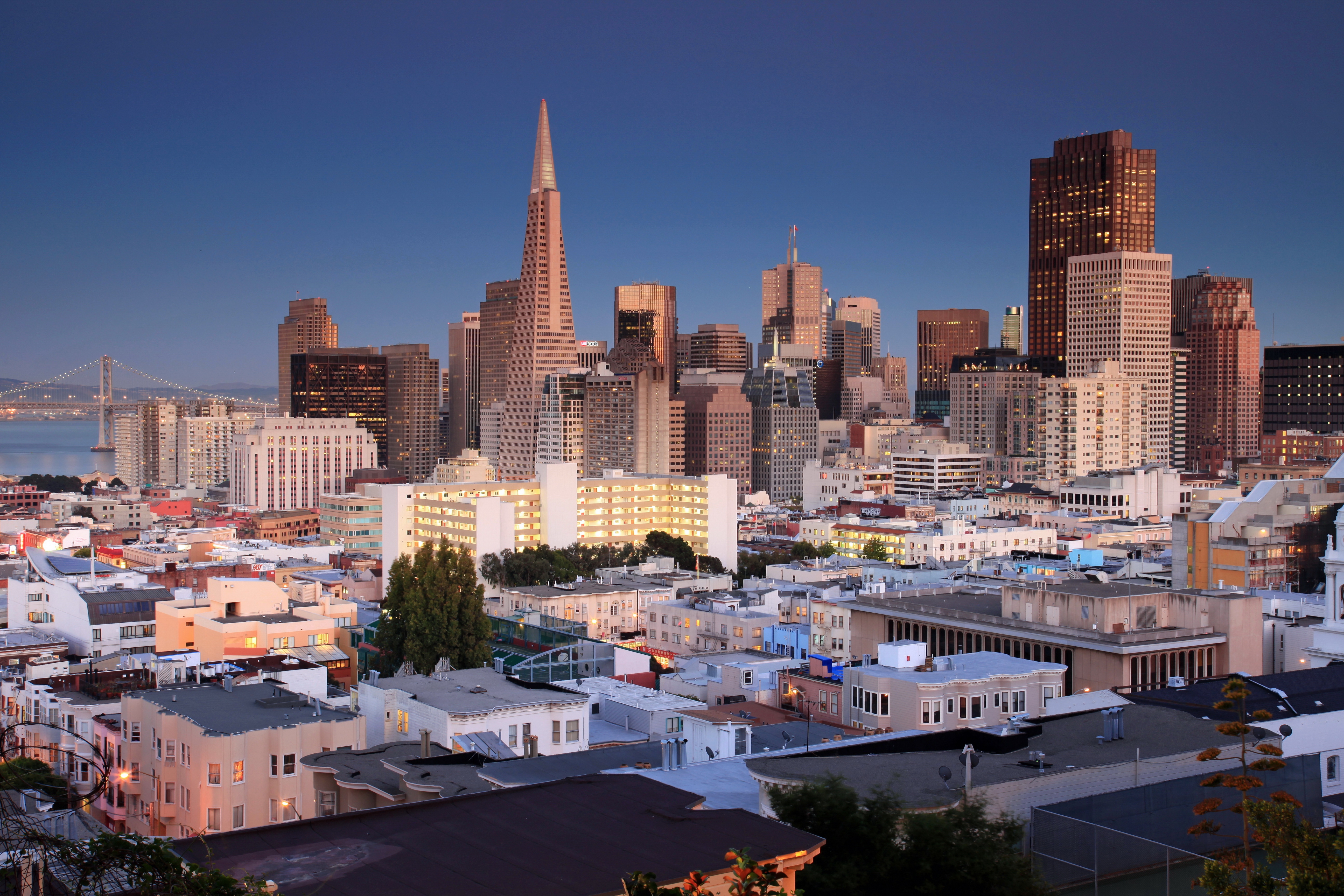 Free photo A bird`s eye view of San Francisco, USA