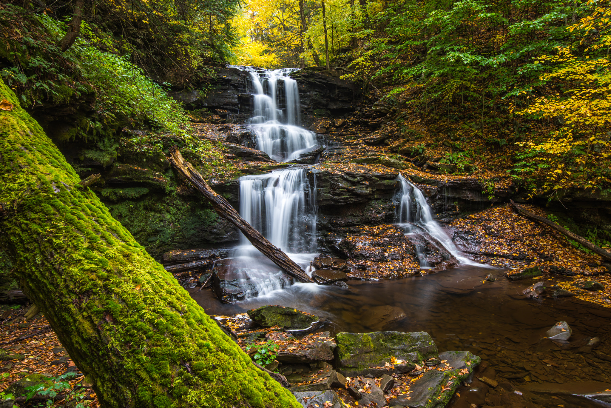 Free photo Pennsylvania Nature