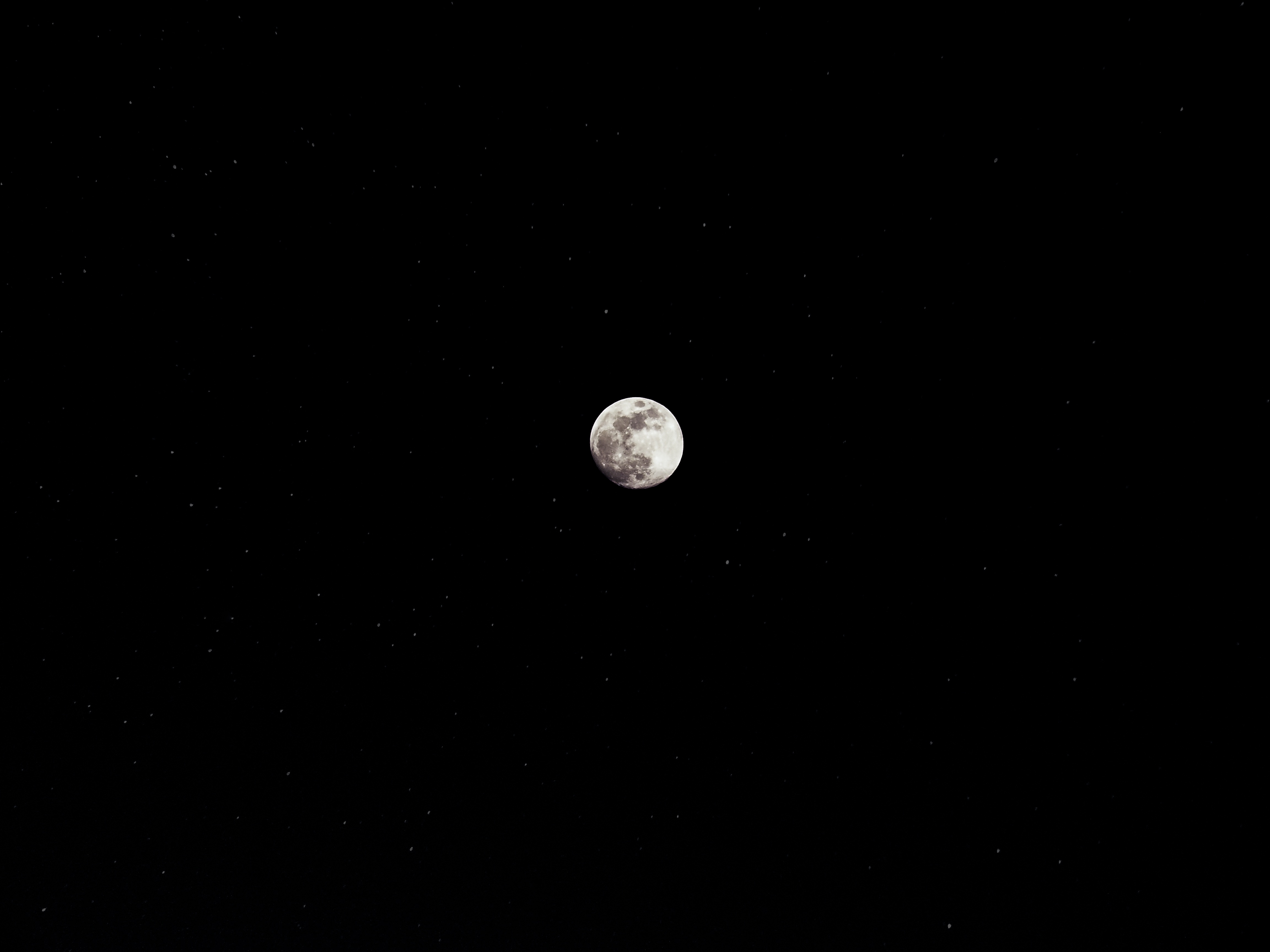 Бесплатное фото Луна на ночном небе