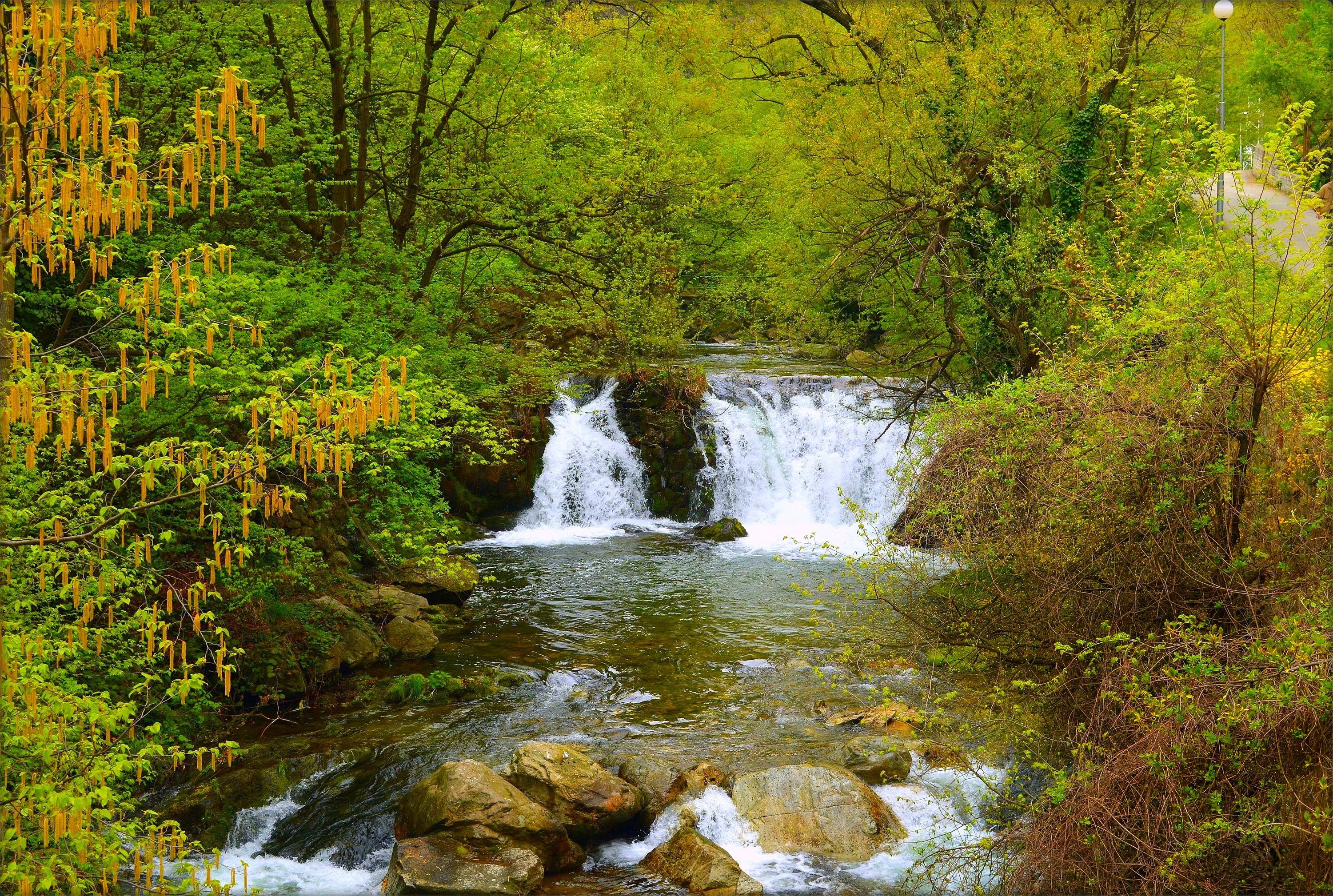 Wallpapers autumn waterfall forest trees on the desktop