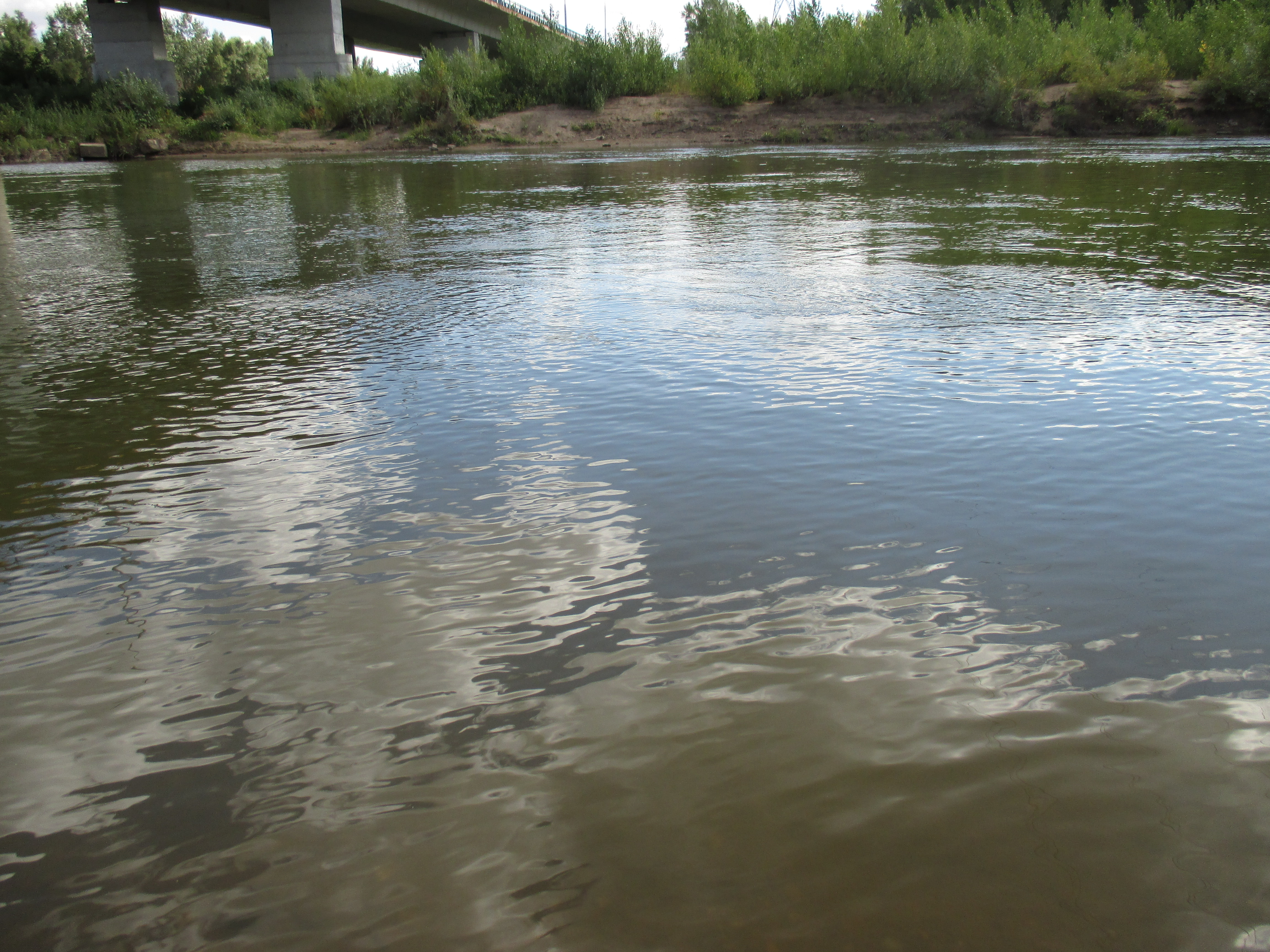 Free photo River, bank, reflection