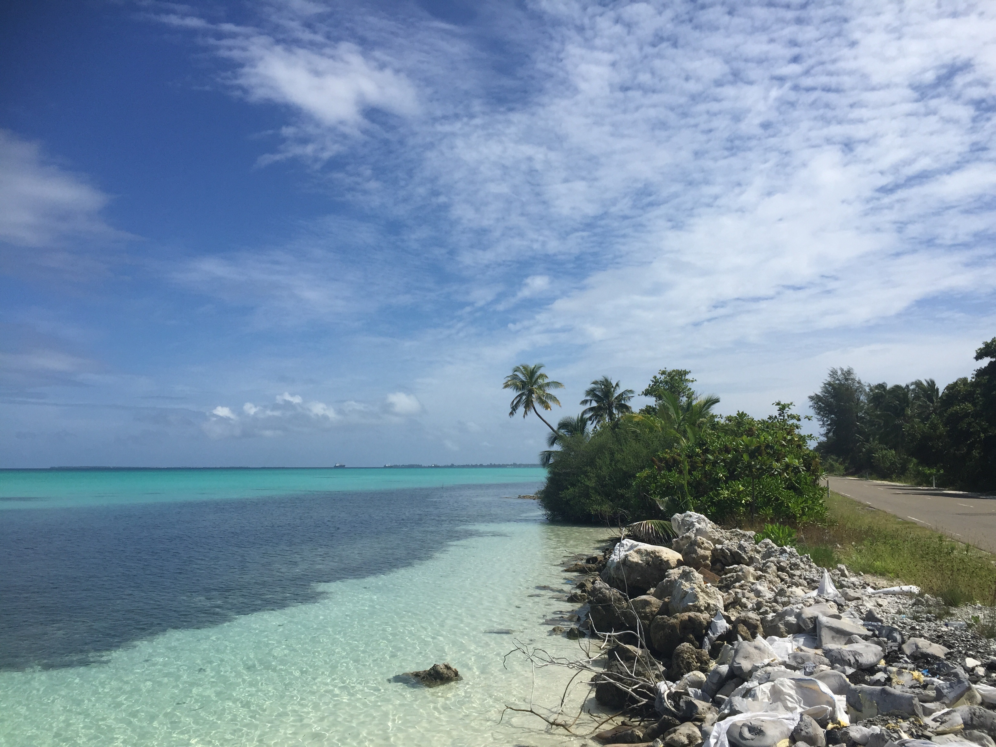 Free photo Spending your vacation on a beach with palm trees