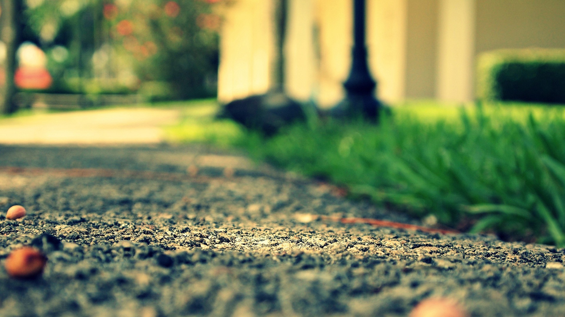 Macro grasses and roads