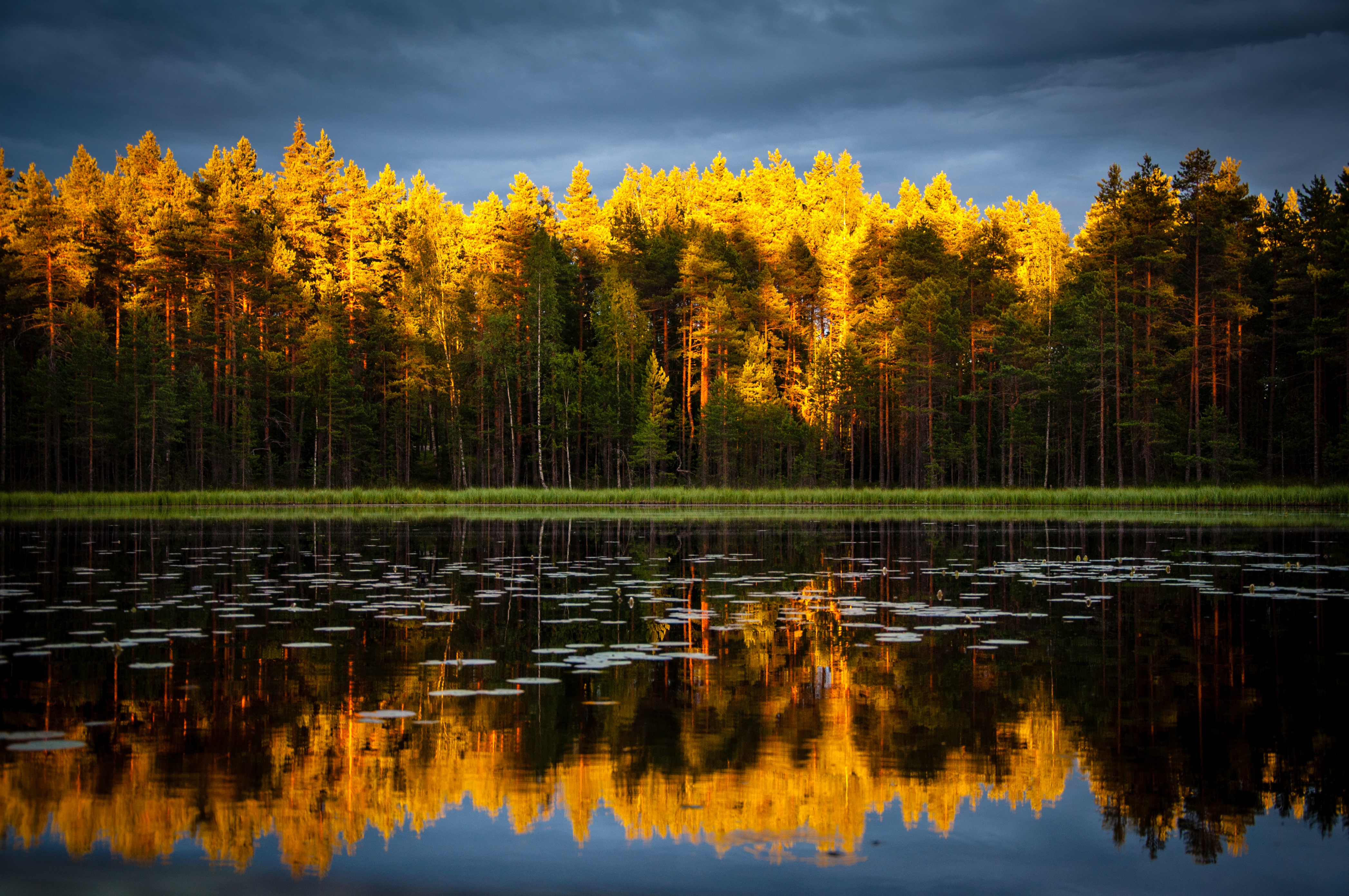 Free photo An autumn fairy tale on the lake