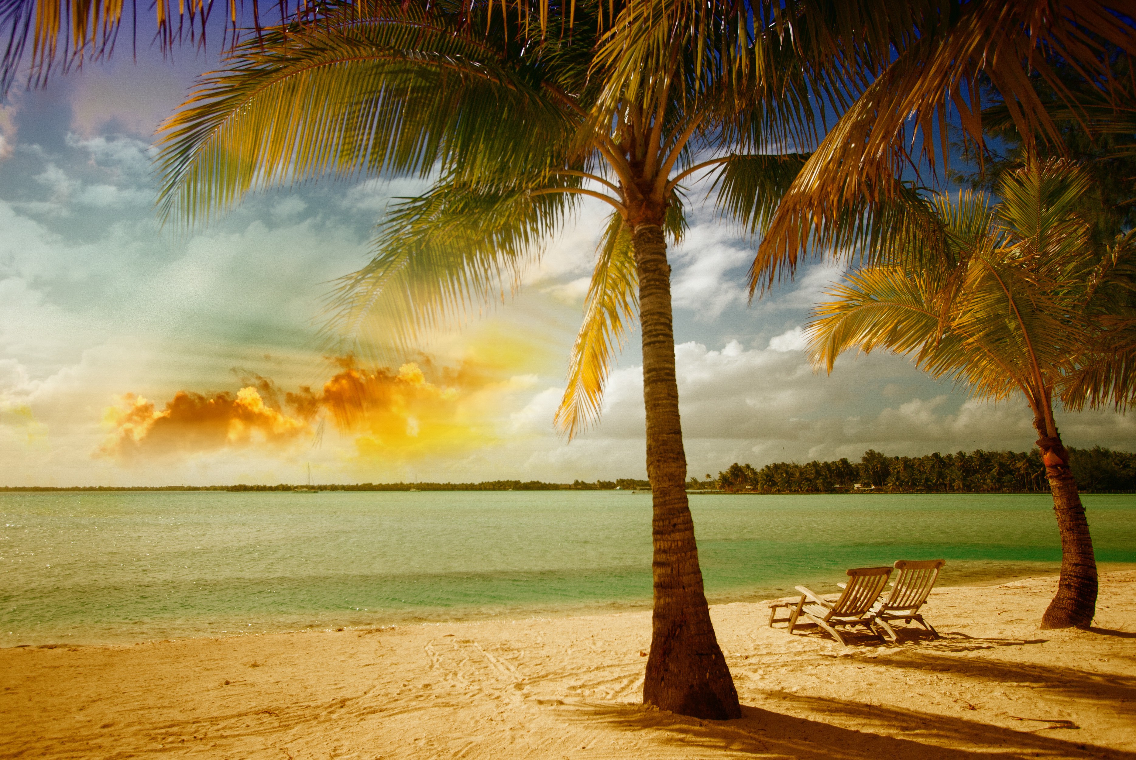 Wallpapers beach and palm trees sea beach chairs on the desktop