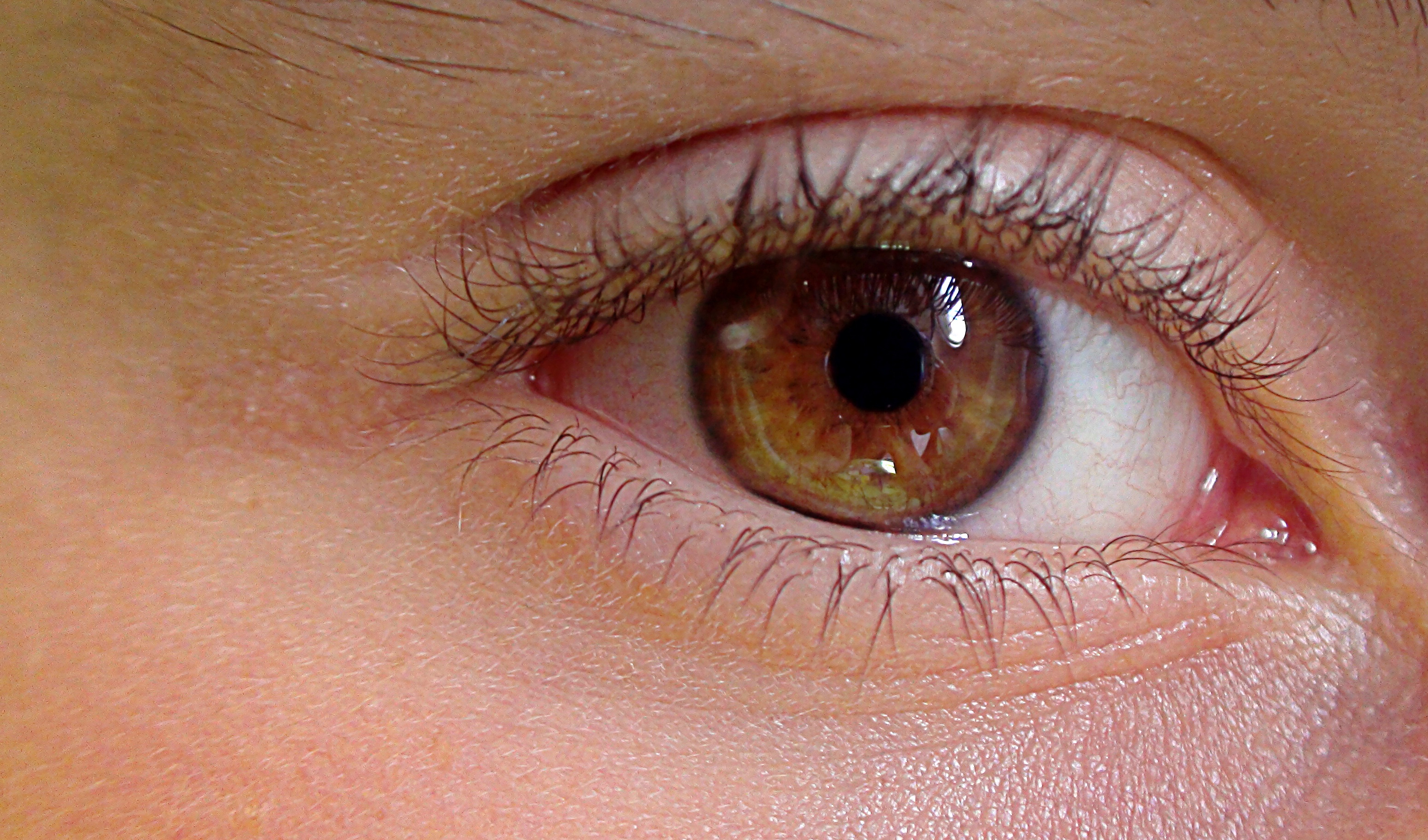 Free photo Close-up of a brown human eye.