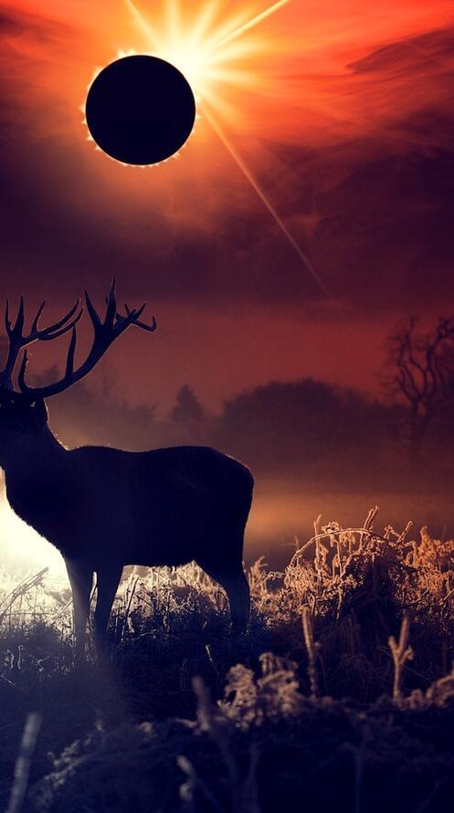 Обои олень исполнитель произведение на рабочий стол