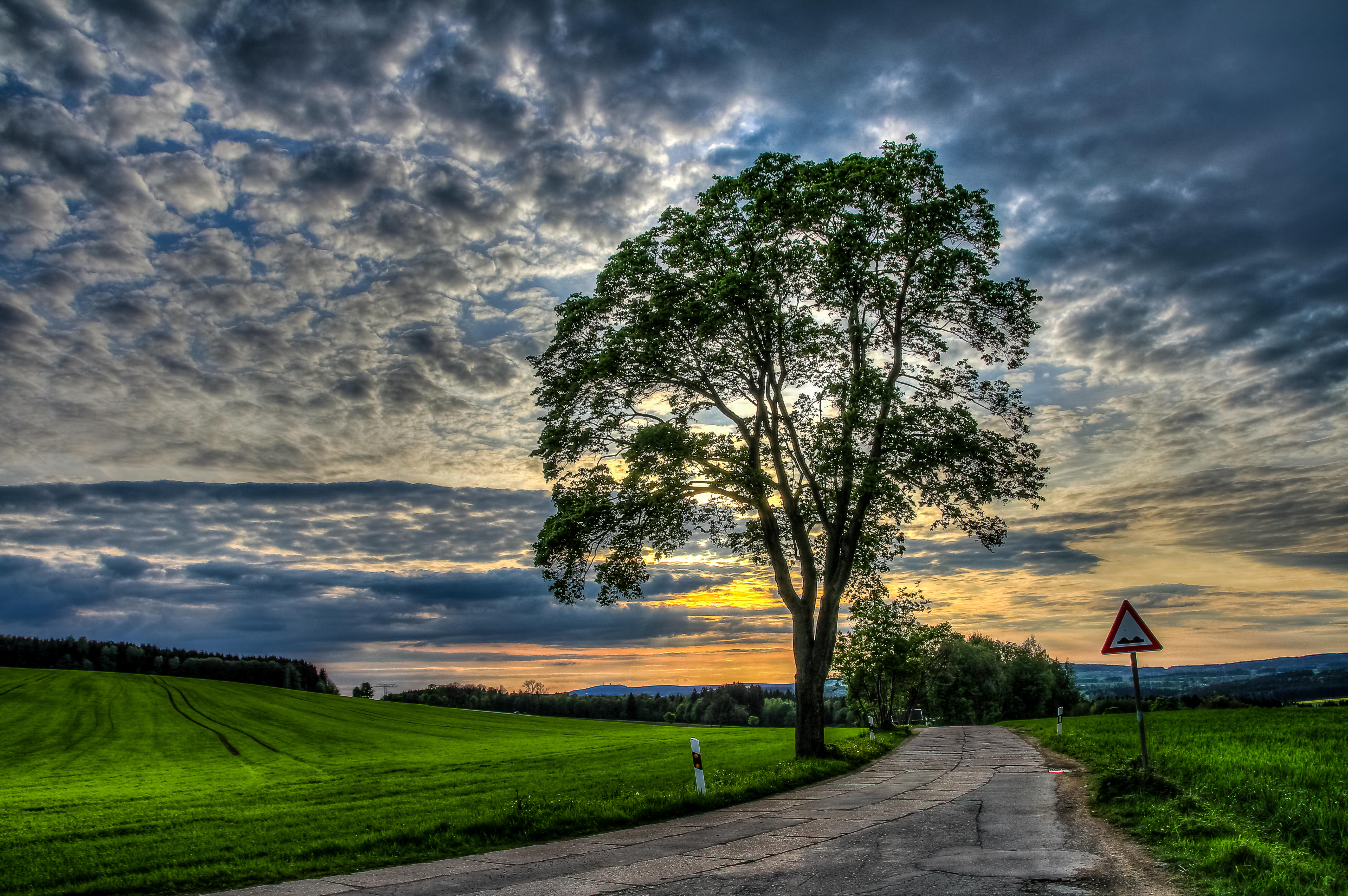 Free photo Free picture of the road, trees