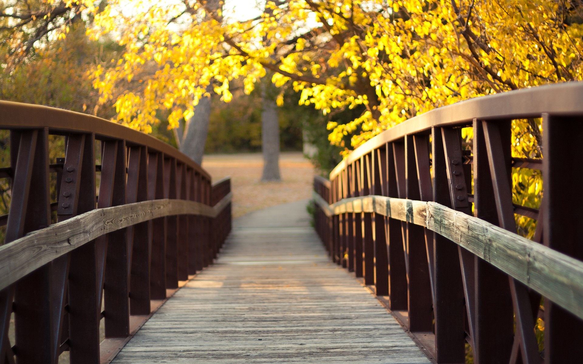 免费照片阳光明媚的下午，秋日森林中的一座木桥