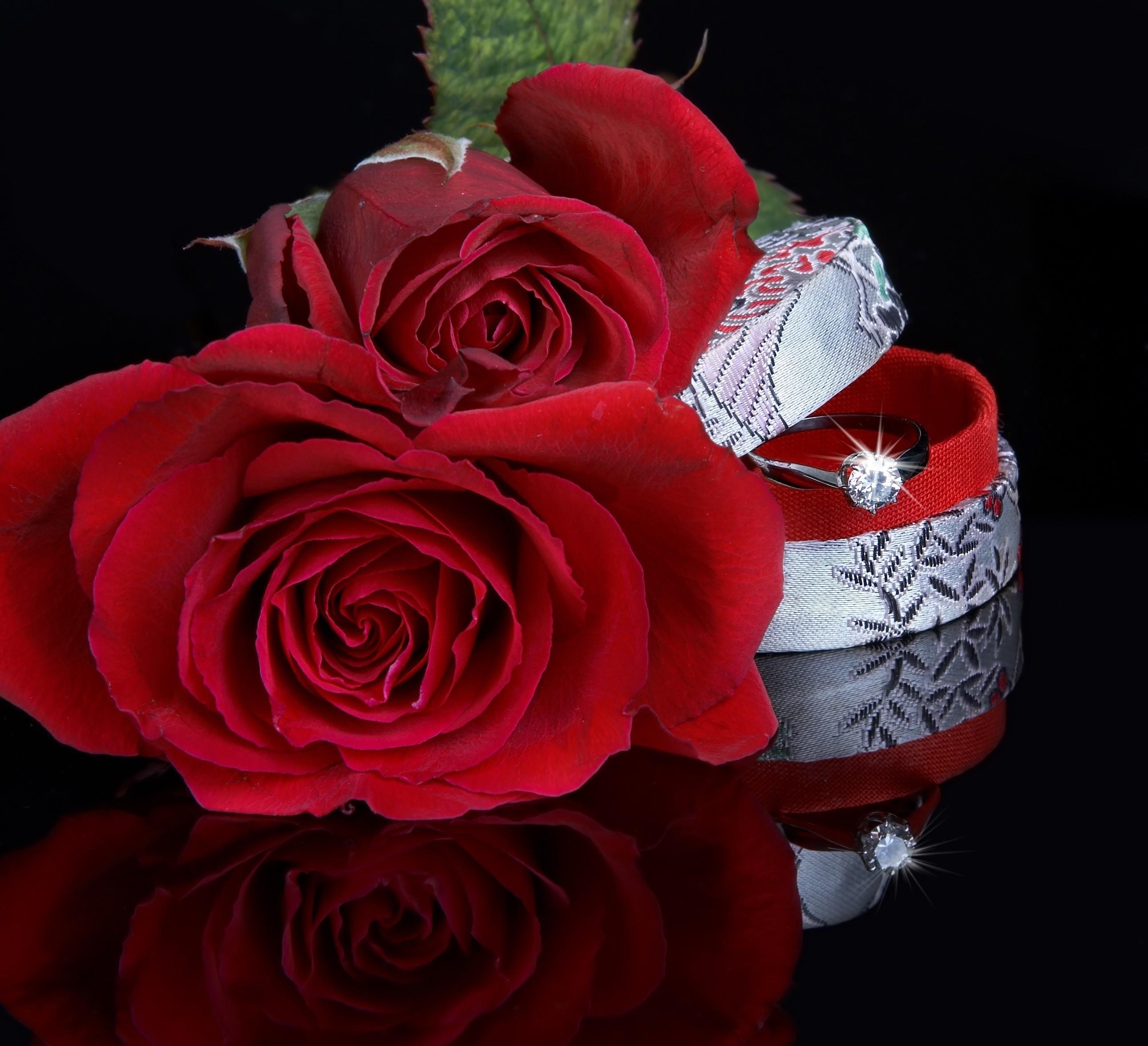 桌面上的壁纸鲜花 红色 反射