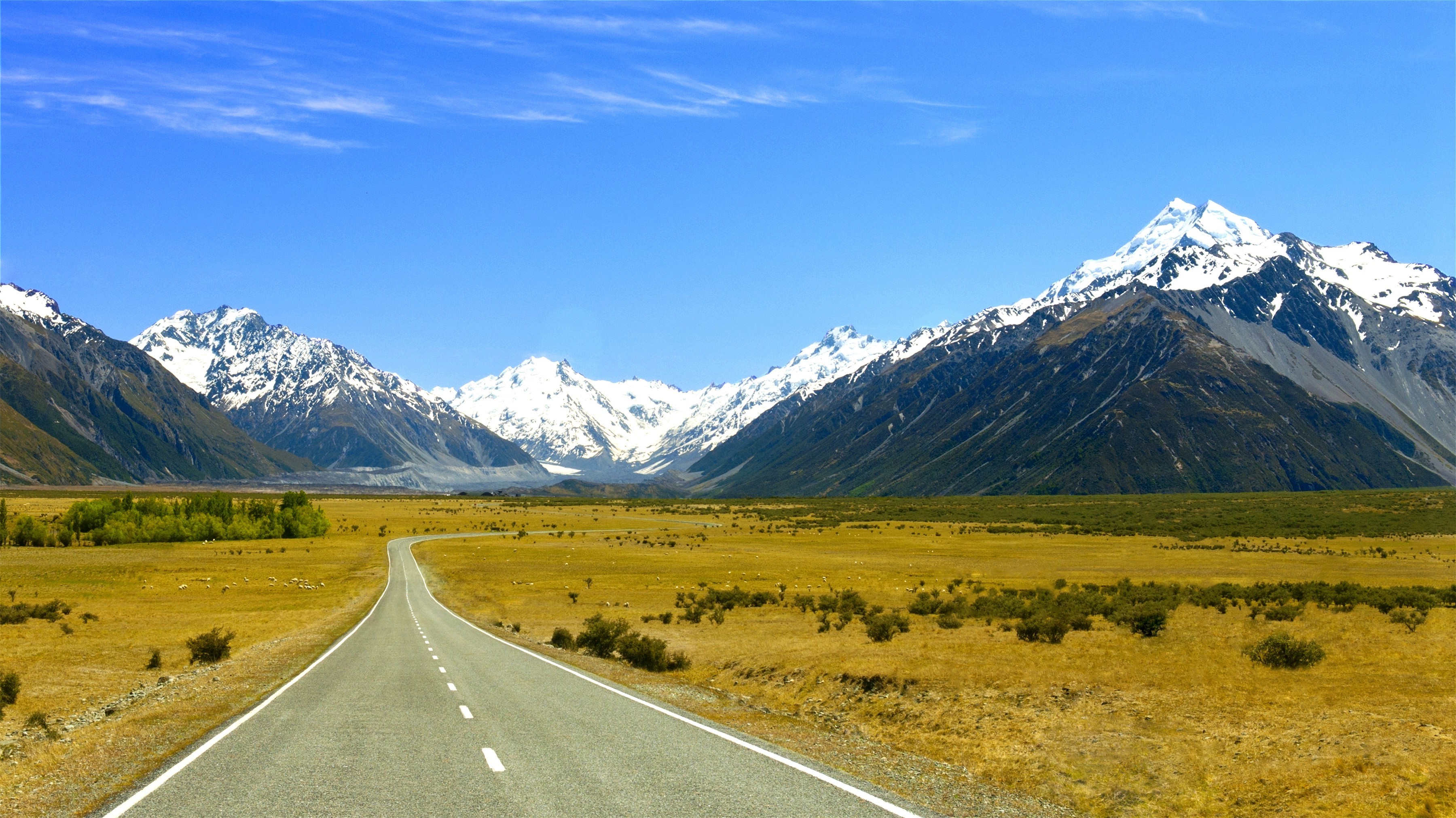 桌面上的壁纸草地 景观 道路