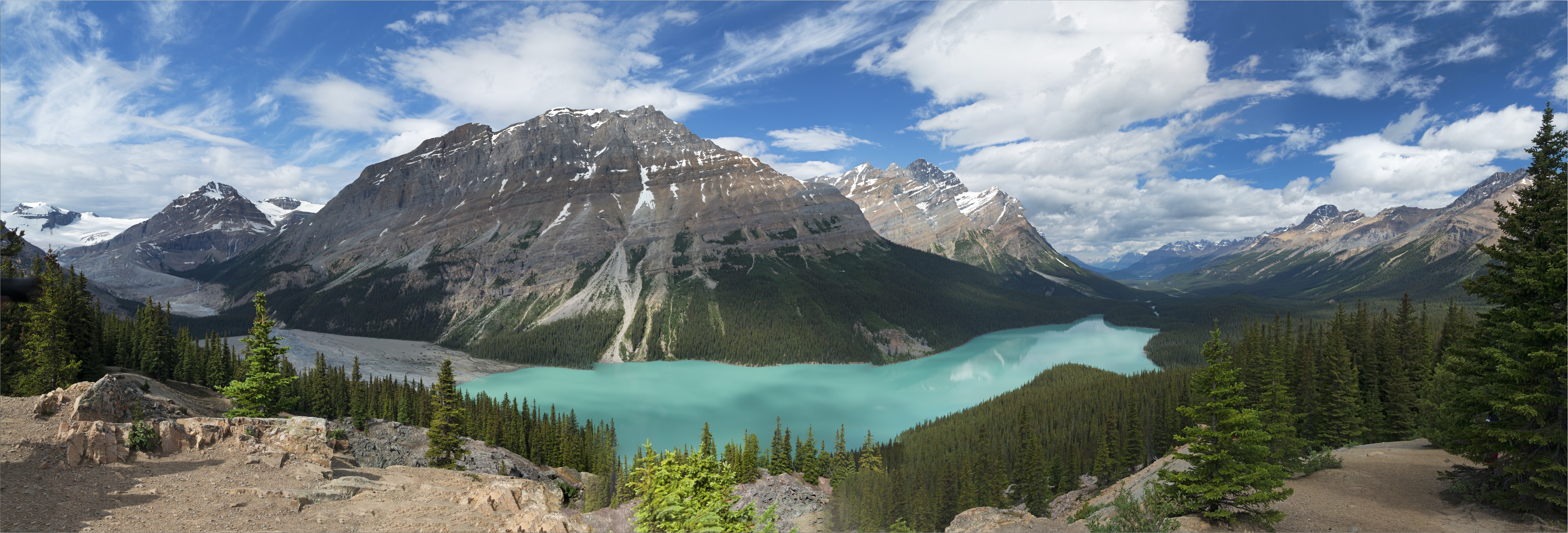 Wallpapers Peyto Lake trees panorama on the desktop