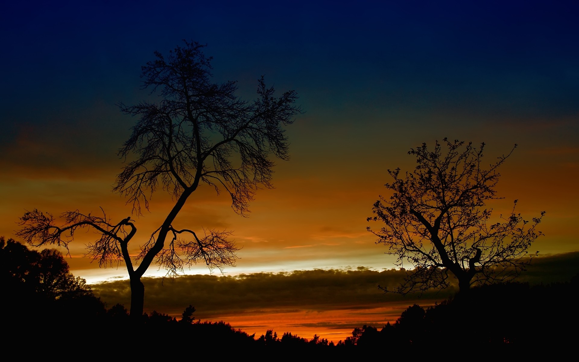 Wallpapers sunrise evening red sky in the morning on the desktop