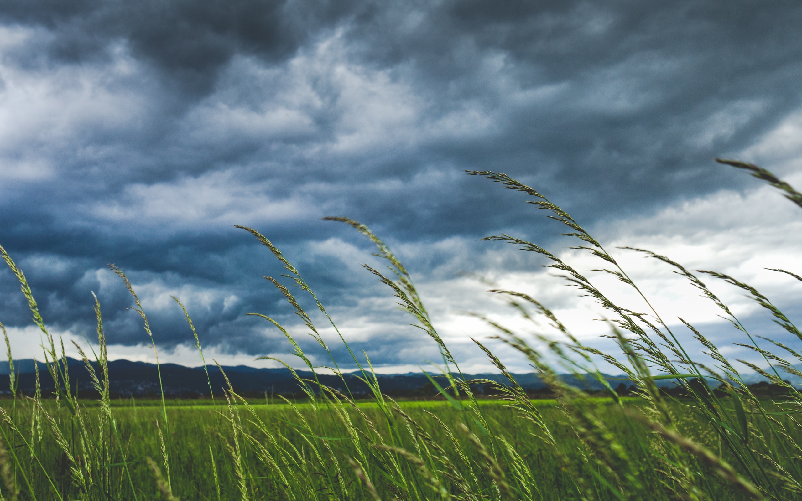 Free photo Dense clouds can be seen through the grass in the field