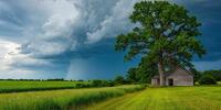 Сельский пейзаж с деревом и старым деревянным зданием на фоне грозового неба.