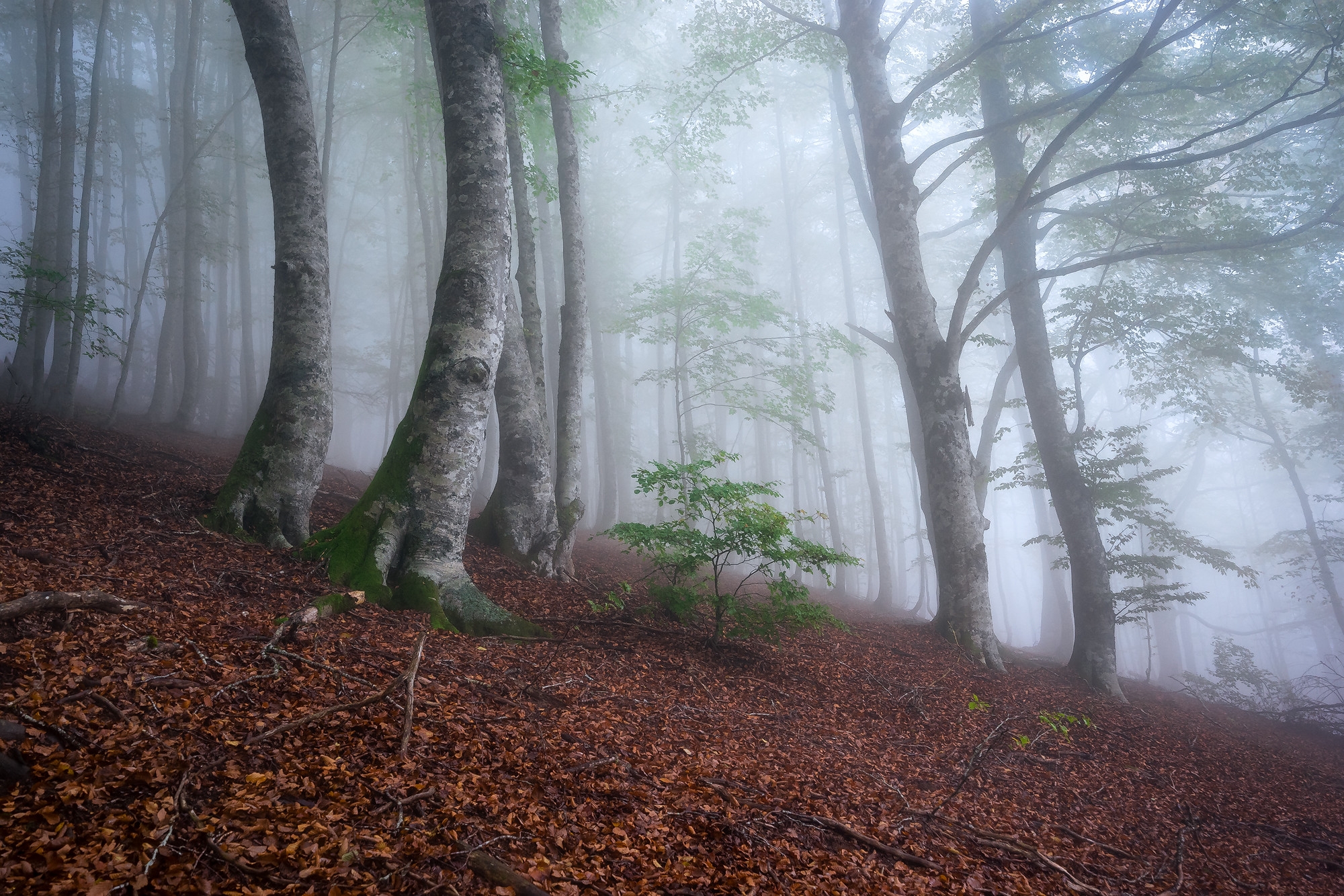 Wallpapers nature slope landscapes on the desktop