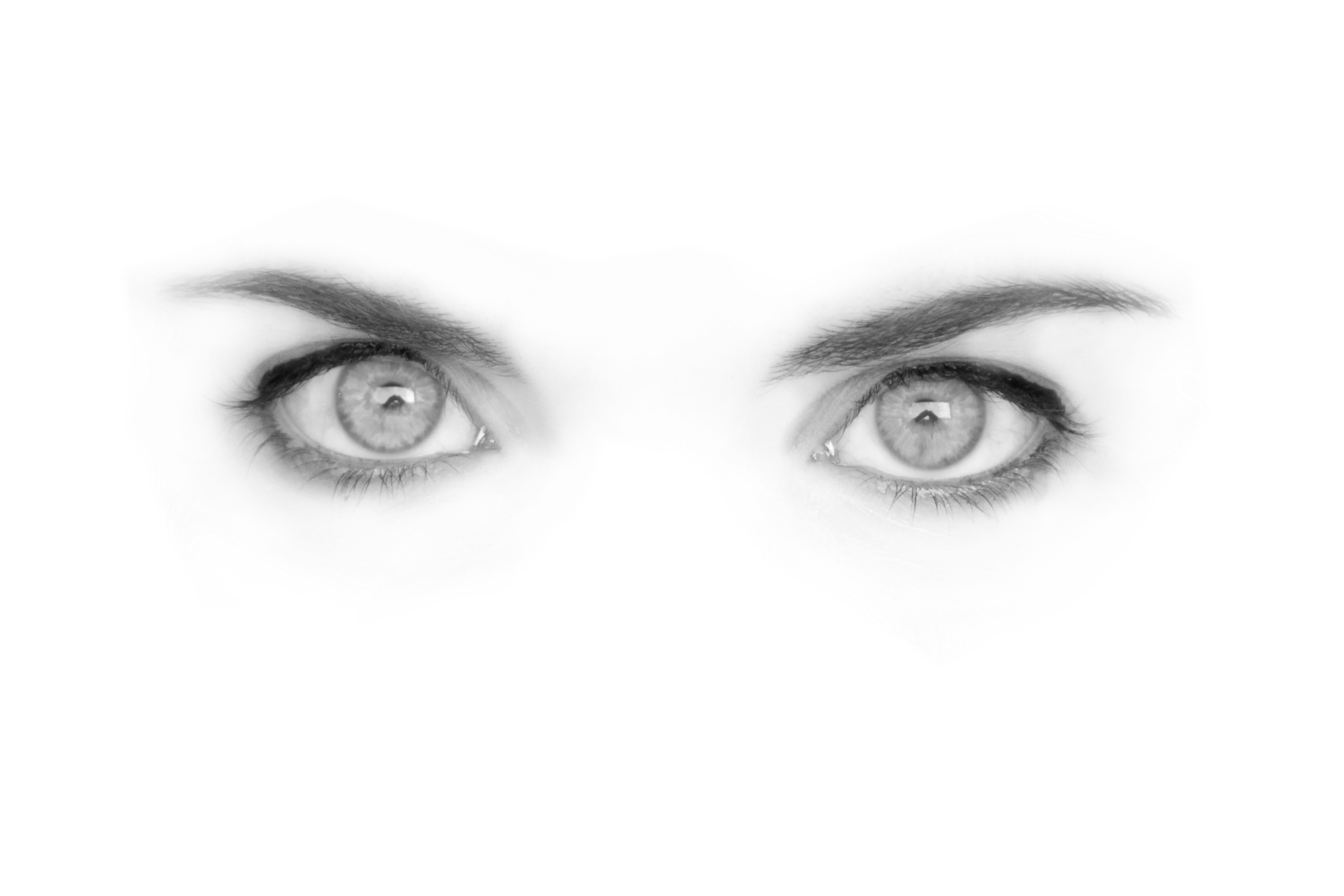 桌面上的壁纸观看 耳朵 发型