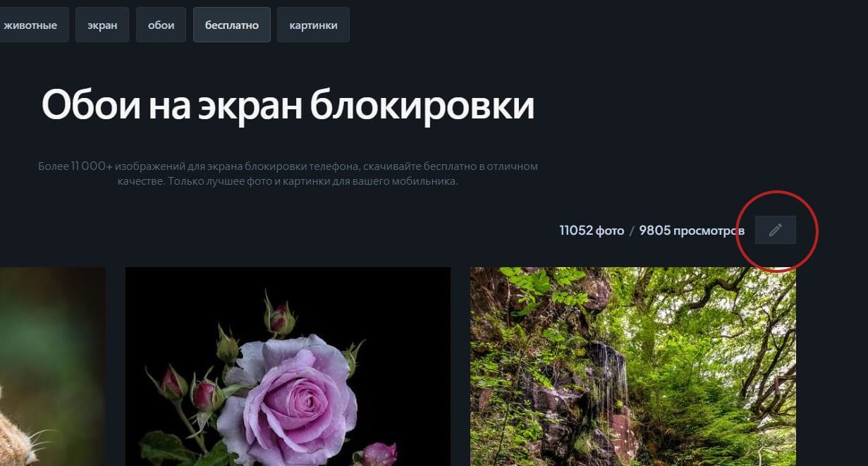 Как сделать свою коллекцию популярной