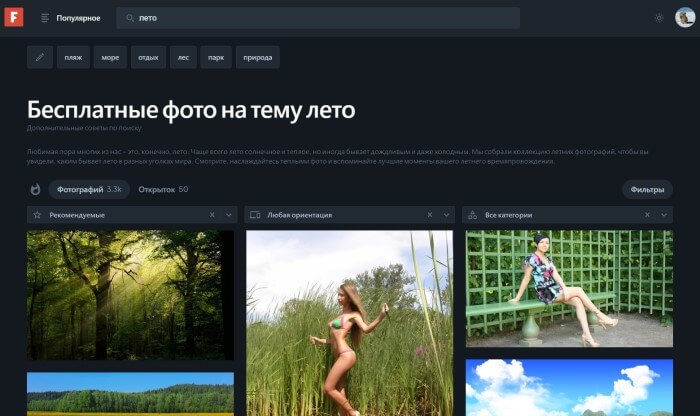 Запрос в поиске лето