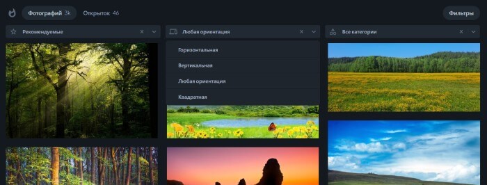 Запрос в поиске лето с ориентацией