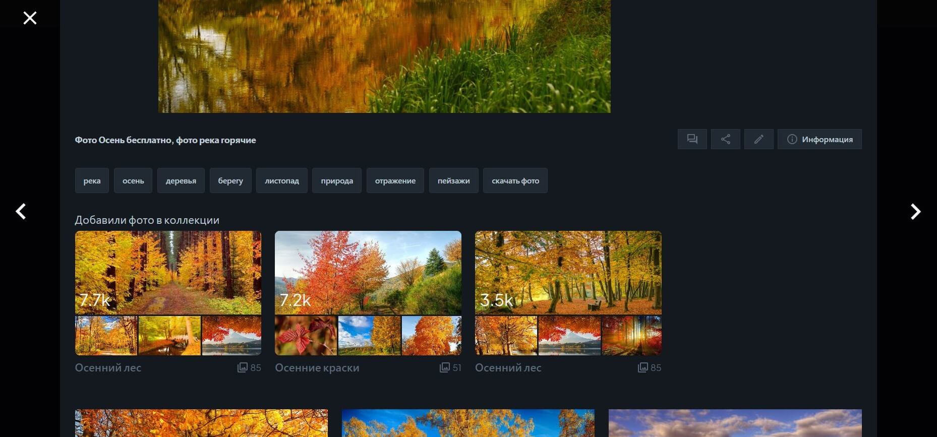 Коллекции в фотографиях