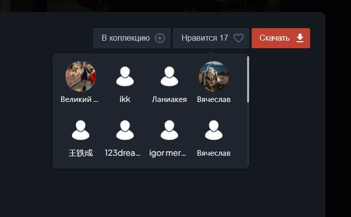 Список тех кому понравилась фотография